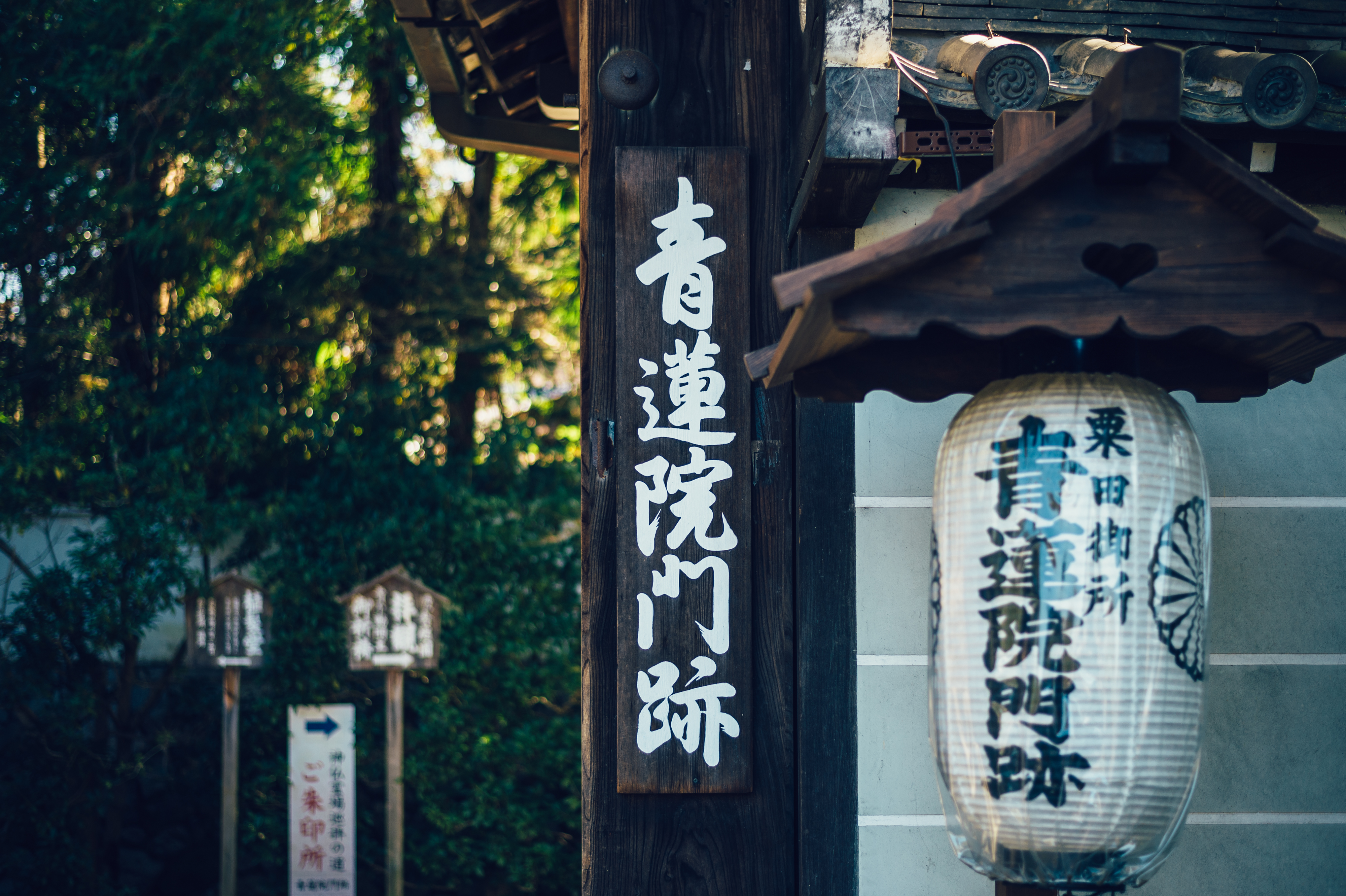 青蓮院門跡青蓮院門跡 | 巡り