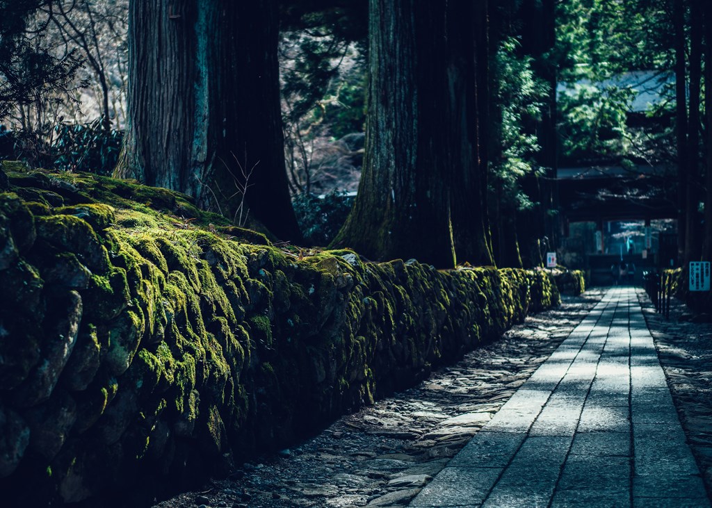 宝積山 光前寺光前寺 | 巡り