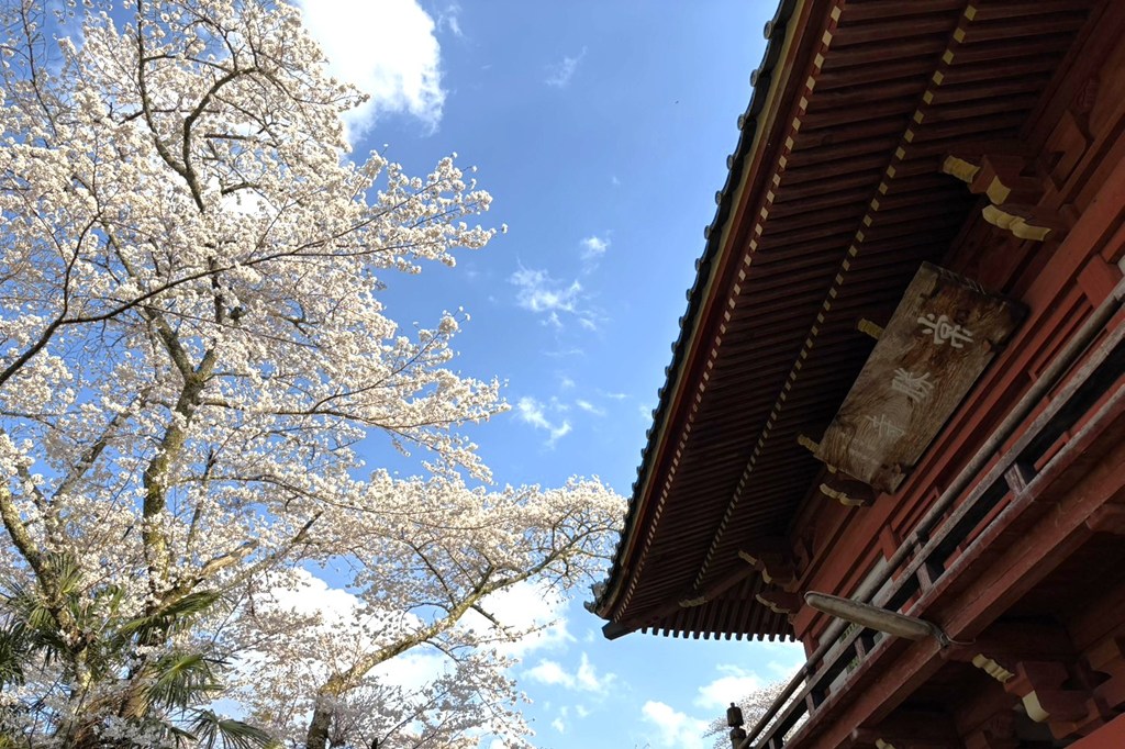 竹林山常勝寺常勝寺 | 巡り
