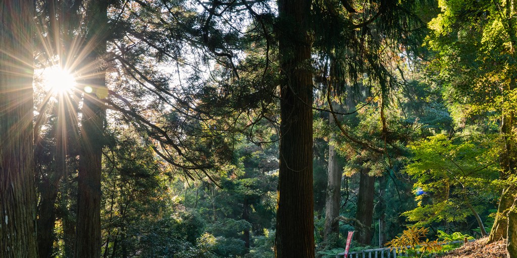 山上の景色・日本一の石段