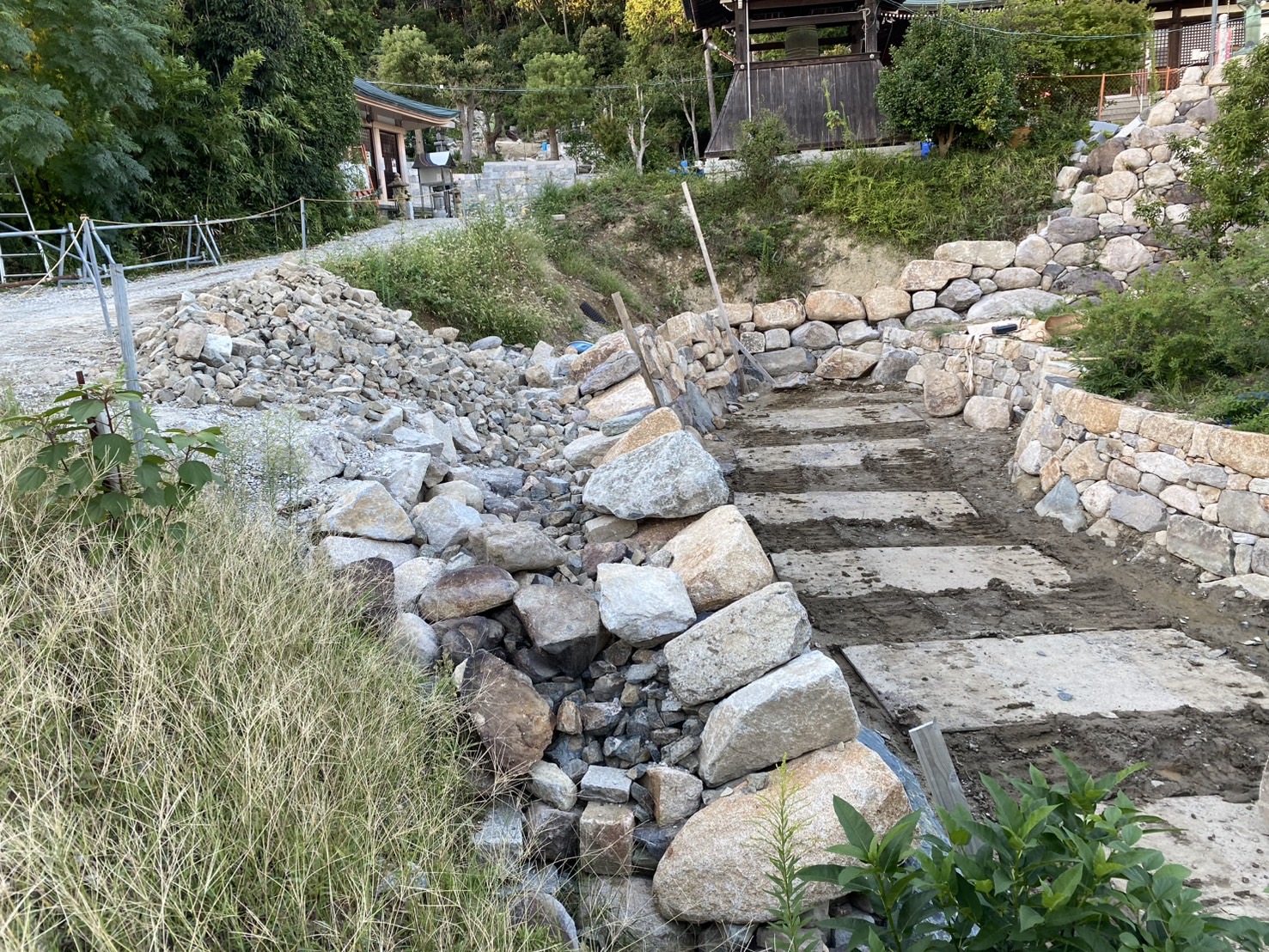 整備される境内とカキツバタ