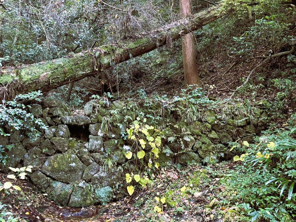 本堂へ続く参道（観音八丁）