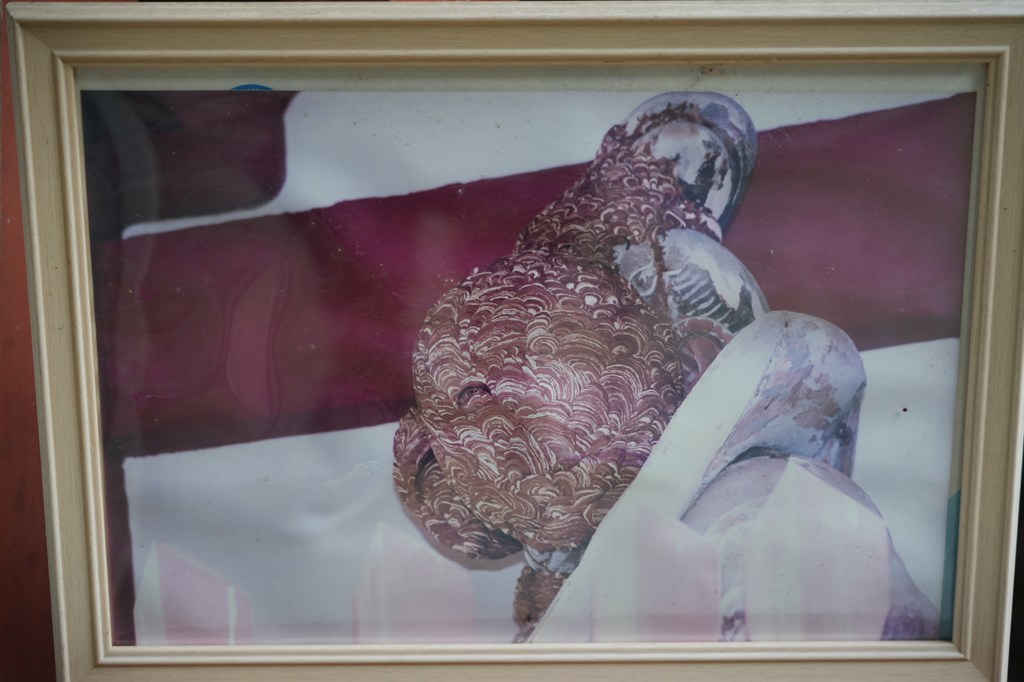 仁王門・普門橋