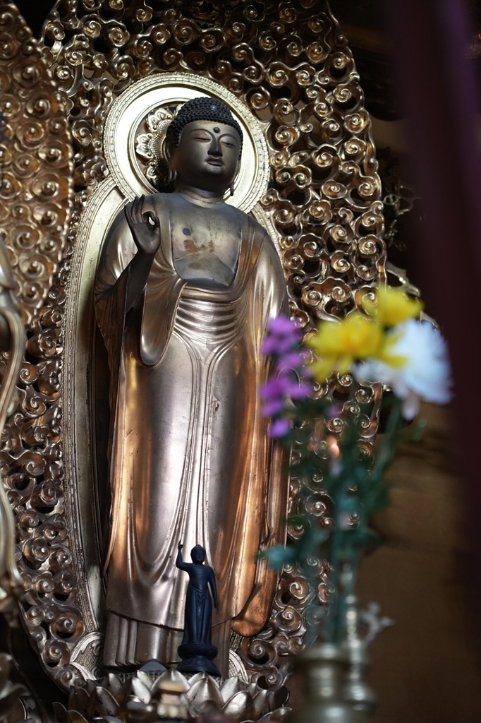 御本尊・阿弥陀如来立像