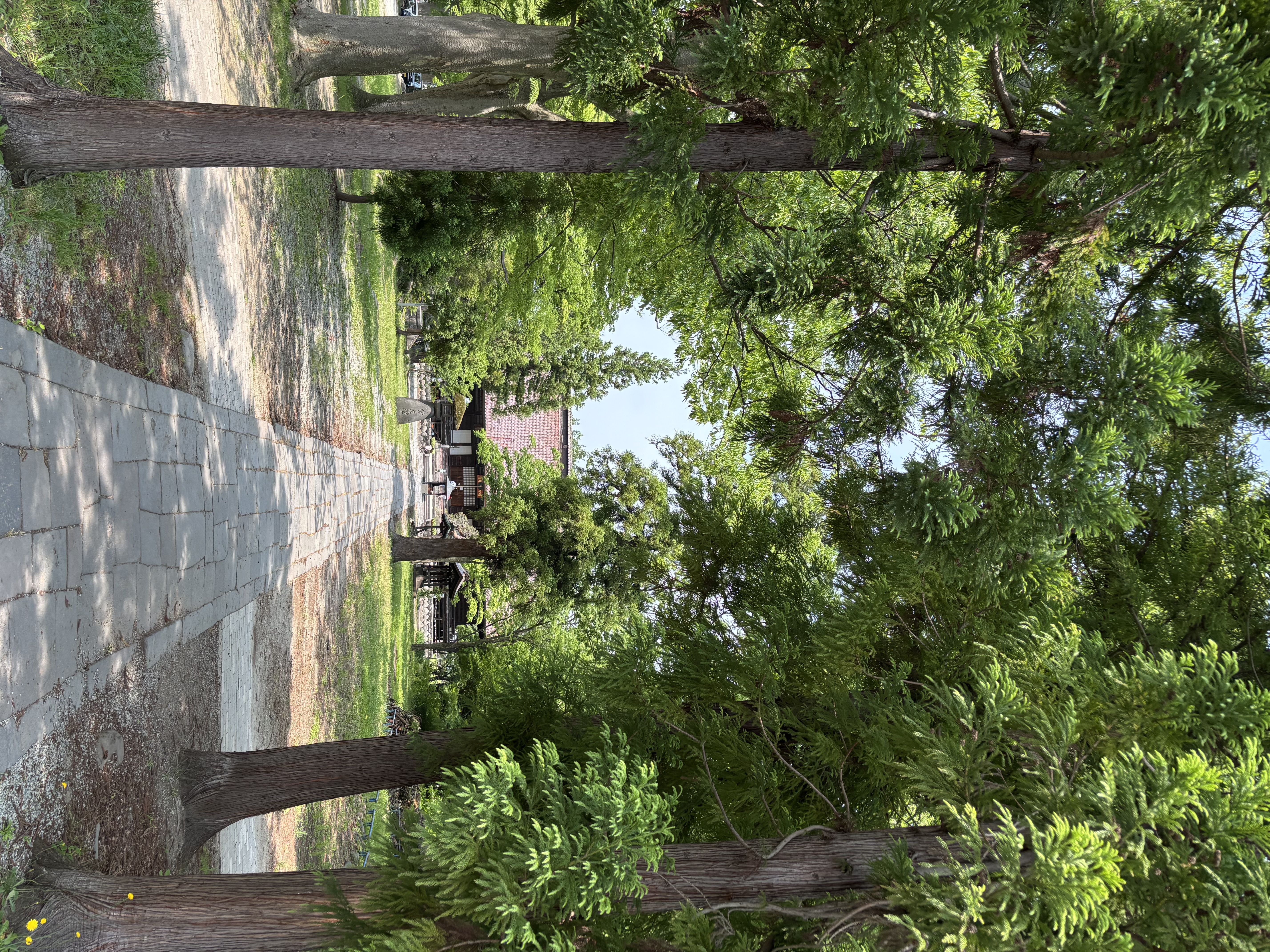 薬師公園