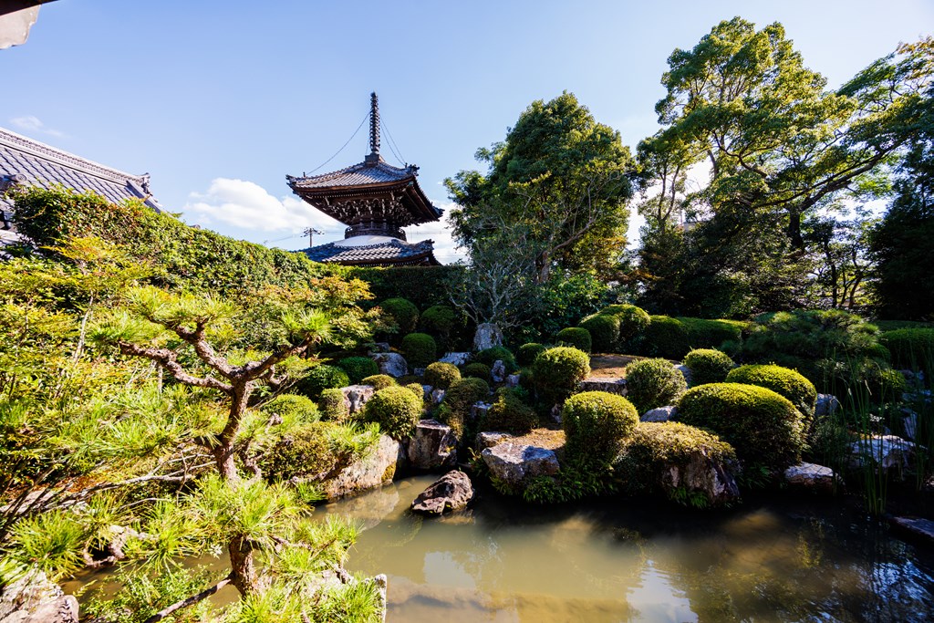 円応院（京都府登録文化財）と庭園（京都府指定名勝）