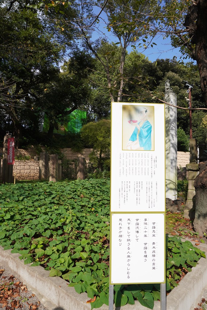 青木昆陽ゆかりの地