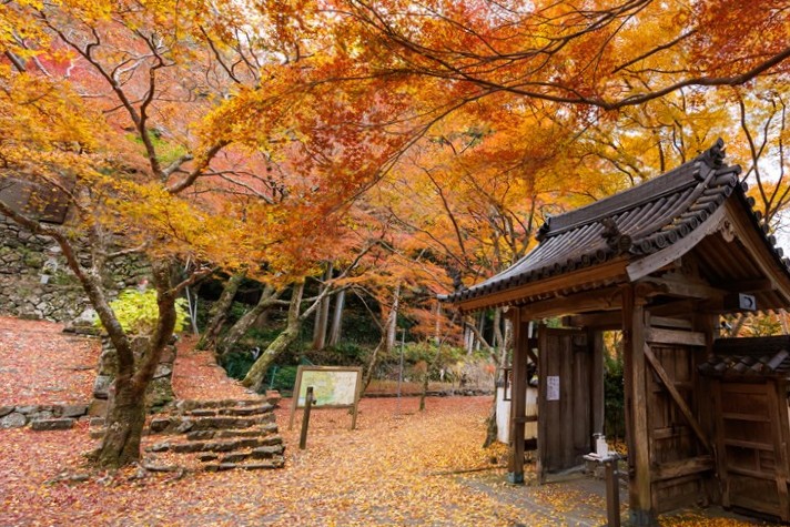 牛滝山（大阪府指定名勝）