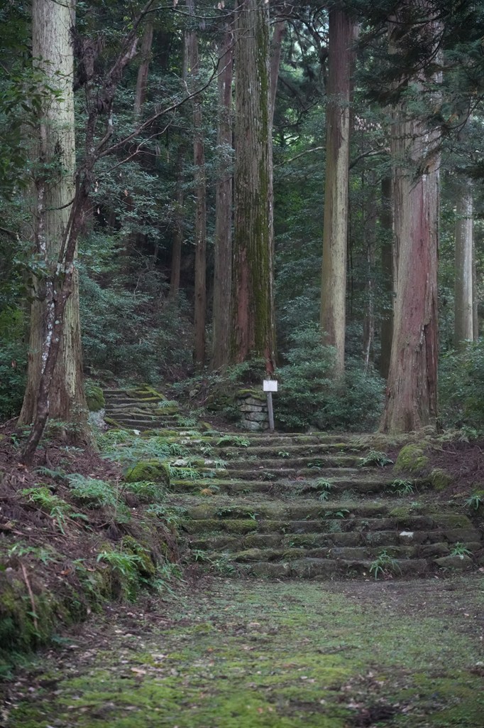 蔵王堂・浮浪の滝