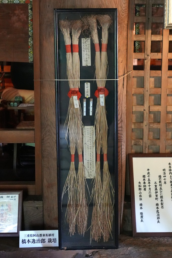 秘仏御本尊・木造薬師如来坐像（国指定重要文化財）