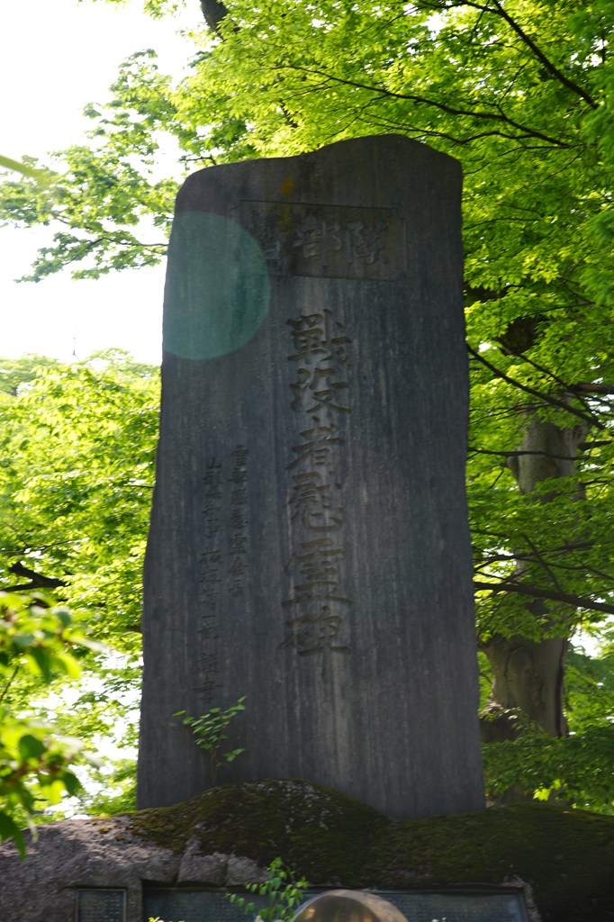 薬師公園