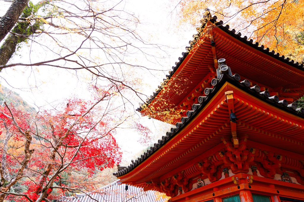 多宝塔（国指定重要文化財）