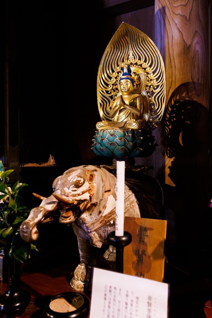 本堂におまつりされている御仏たち