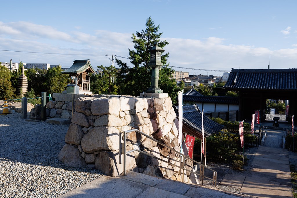 整備される境内とカキツバタ