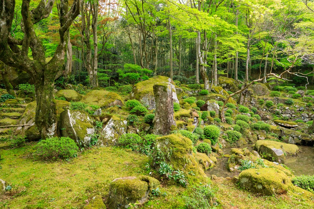 庭園（近江八幡市指定名勝）