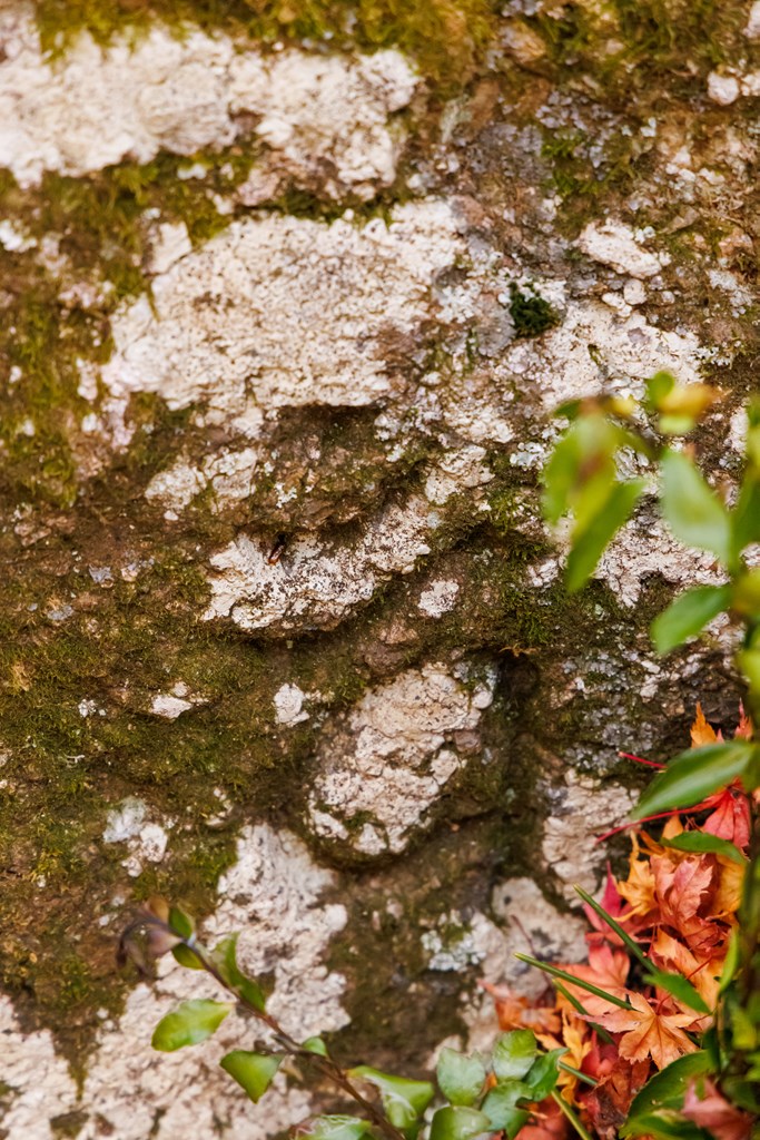 葛城修験 第十番経塚（大威徳寺法師品（だいいとくじほっしほん））
