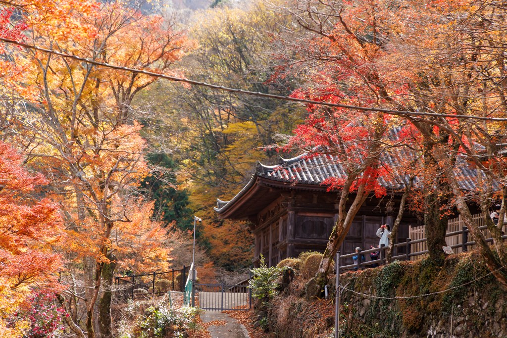 牛滝山（大阪府指定名勝）