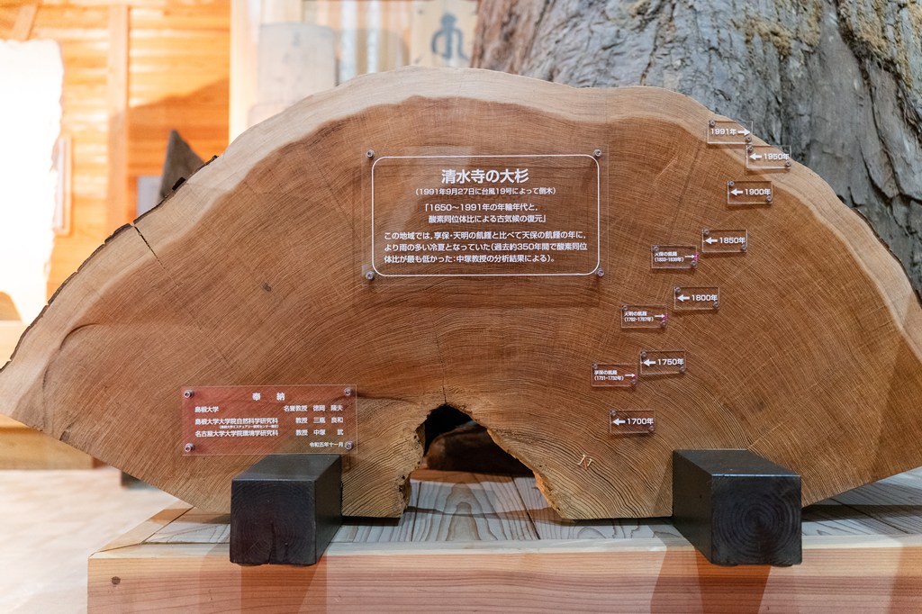 木造十一面観音菩薩立像（国指定重要文化財）