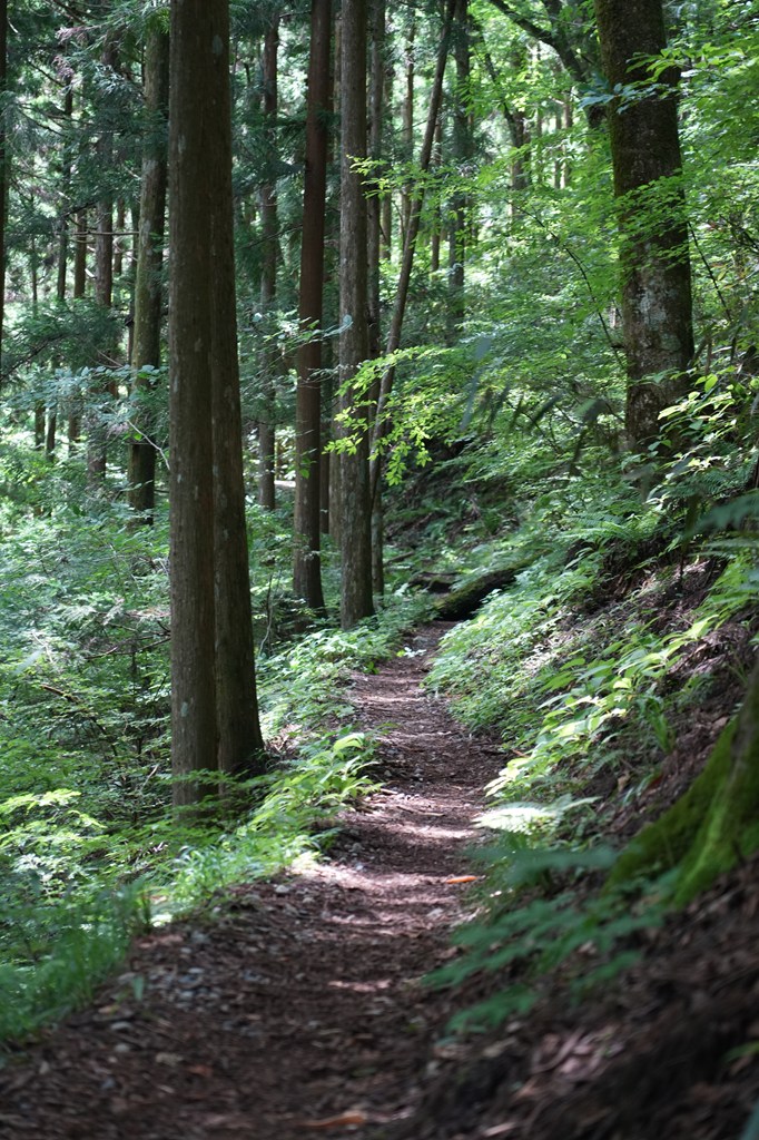 古代東山道・神坂峠・神坂神社