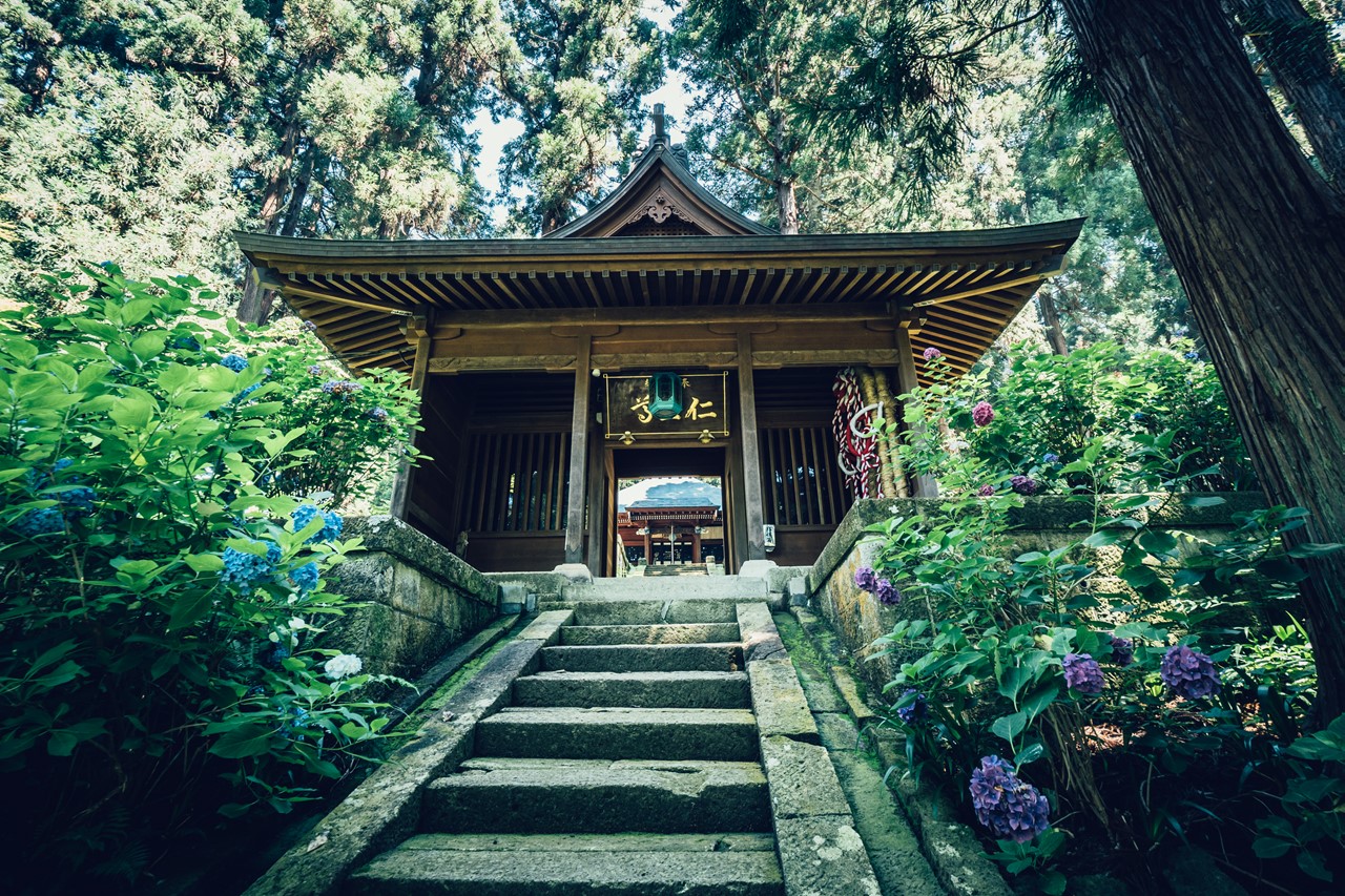 松林山薬師寺薬師寺 | 巡り