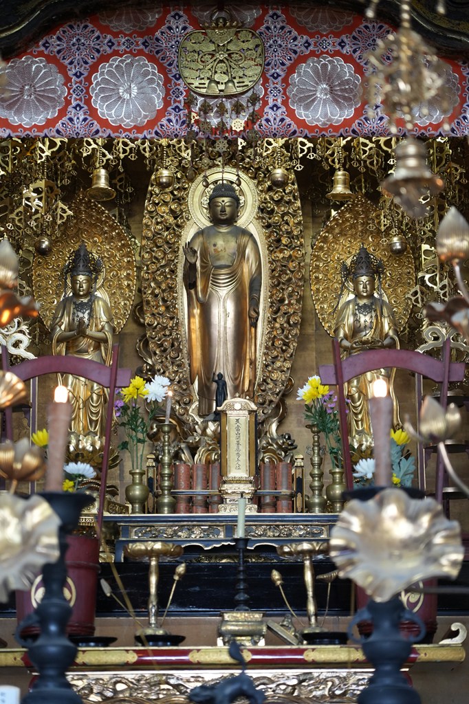 御本尊・阿弥陀如来立像