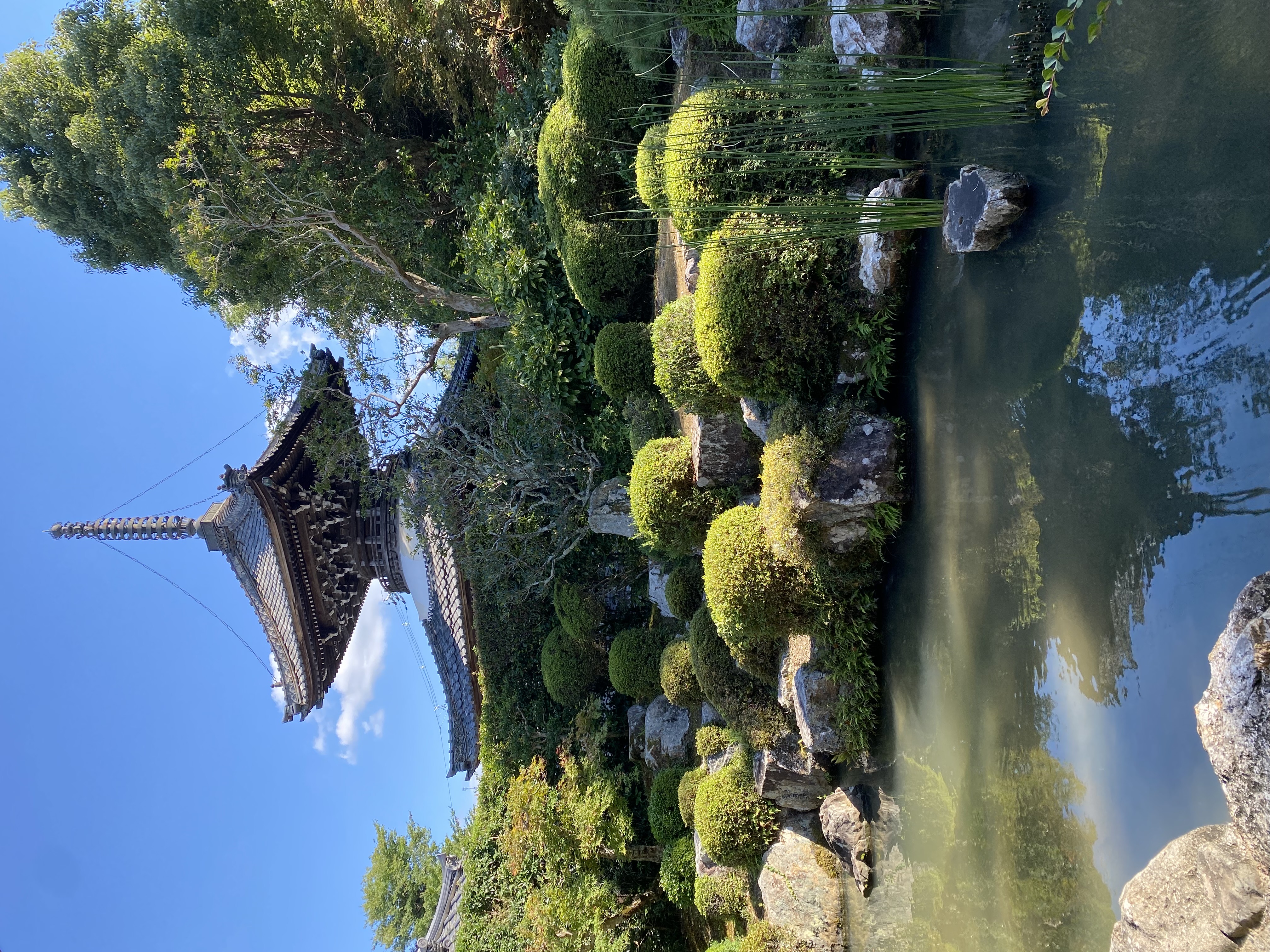 多宝塔（京都府指定文化財）・三十三所観音堂・納札所