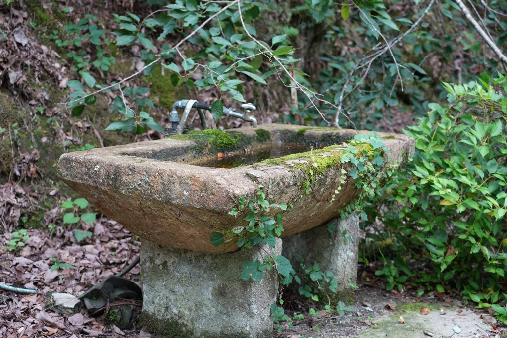 本堂（崩落・老朽化のため、立ち入りを制限しております）