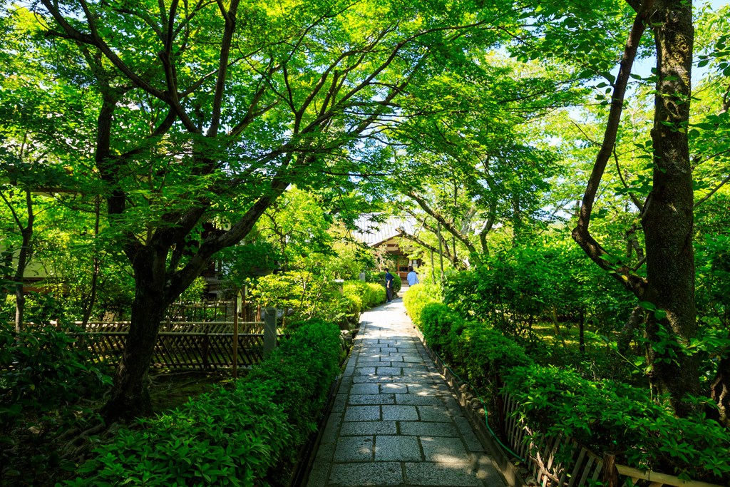 花の寺、元慶寺