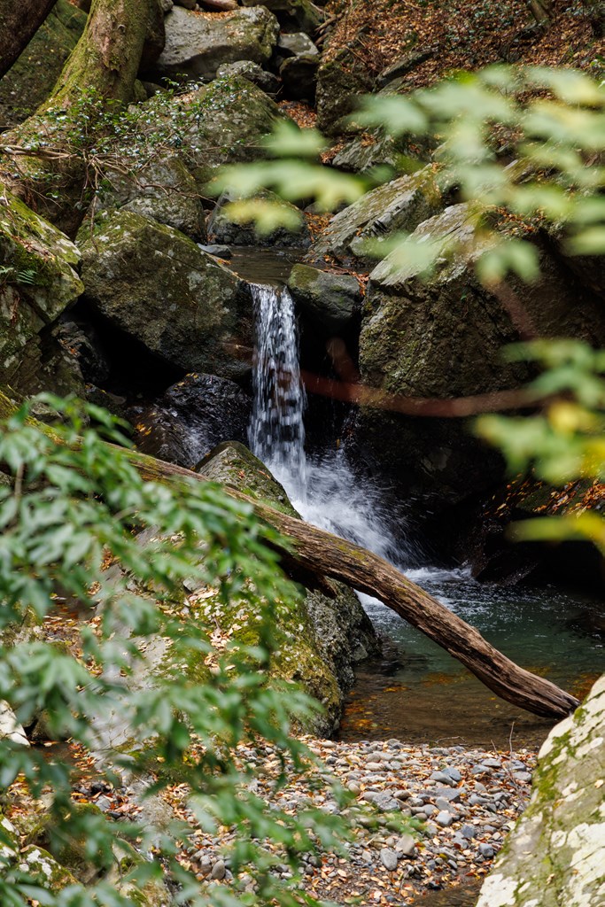 牛滝山（大阪府指定名勝）