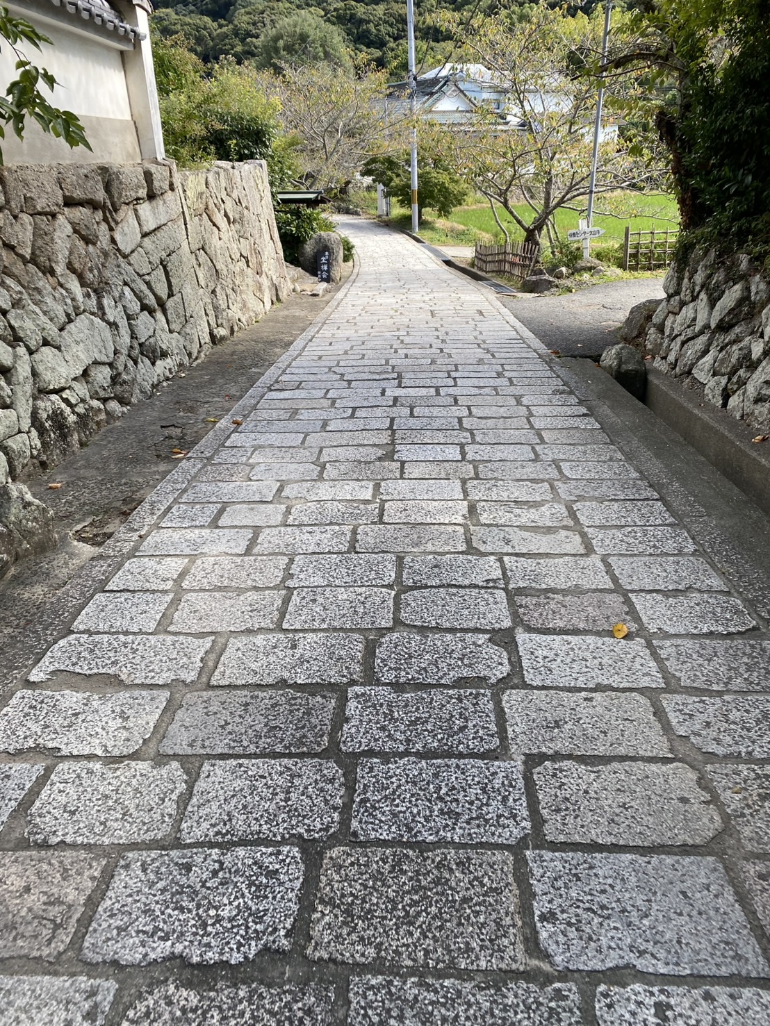 仁王門（国指定重要文化財）と参道