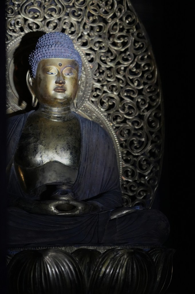 【非公開】秘仏・木造薬師如来坐像（国指定重要文化財）