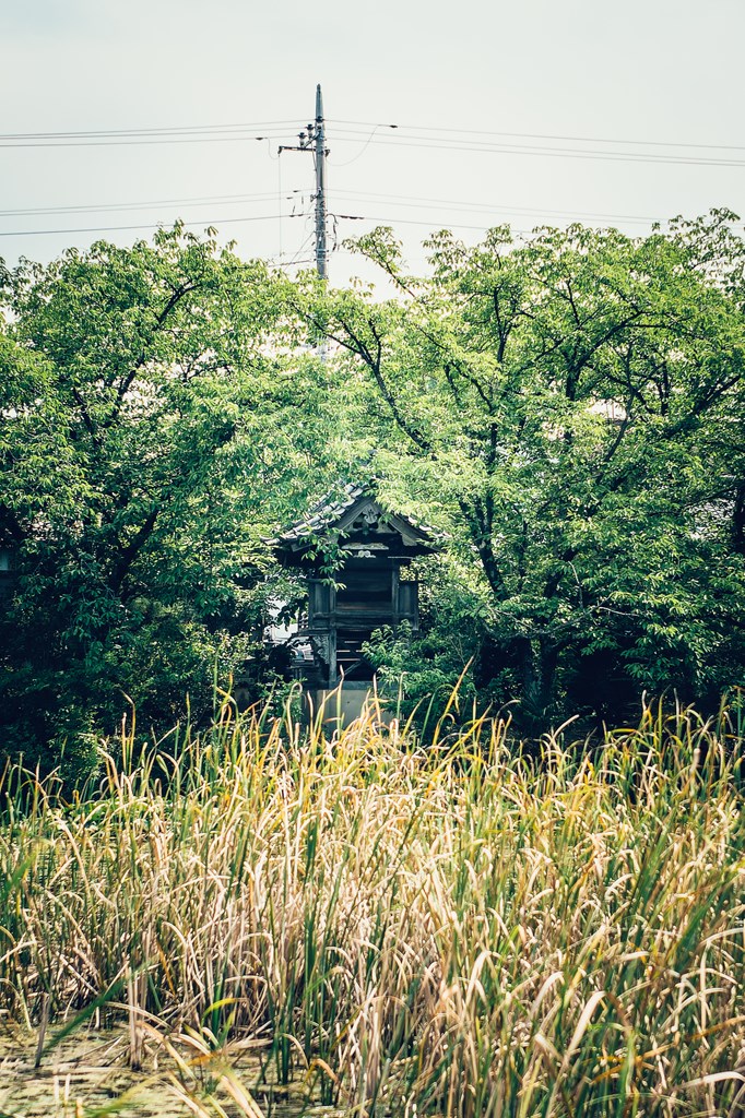 弁天堂・八功徳池（はっくどくいけ）