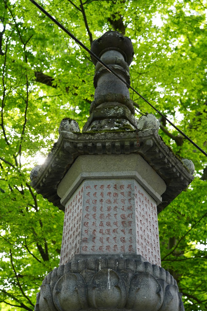 薬師公園