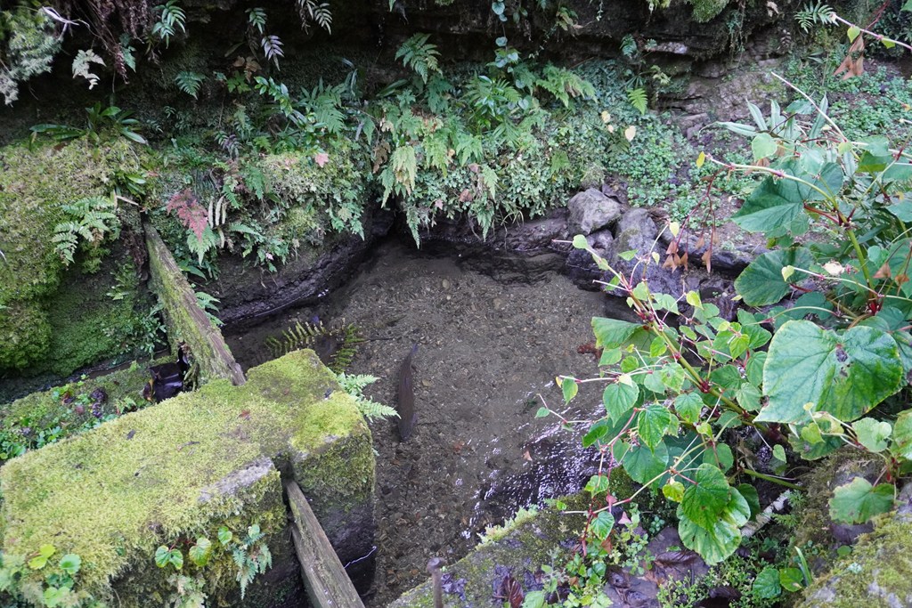 鱒霊供養・鳥獣霊供養