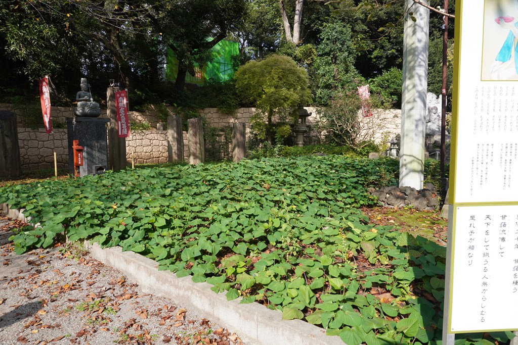 青木昆陽ゆかりの地