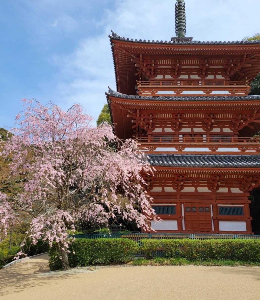 三重塔(福岡県指定文化財)