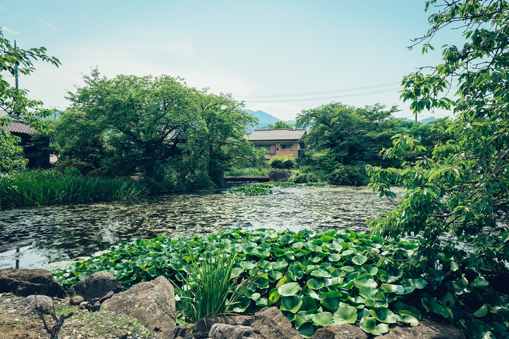 弁天堂・八功徳池（はっくどくいけ）