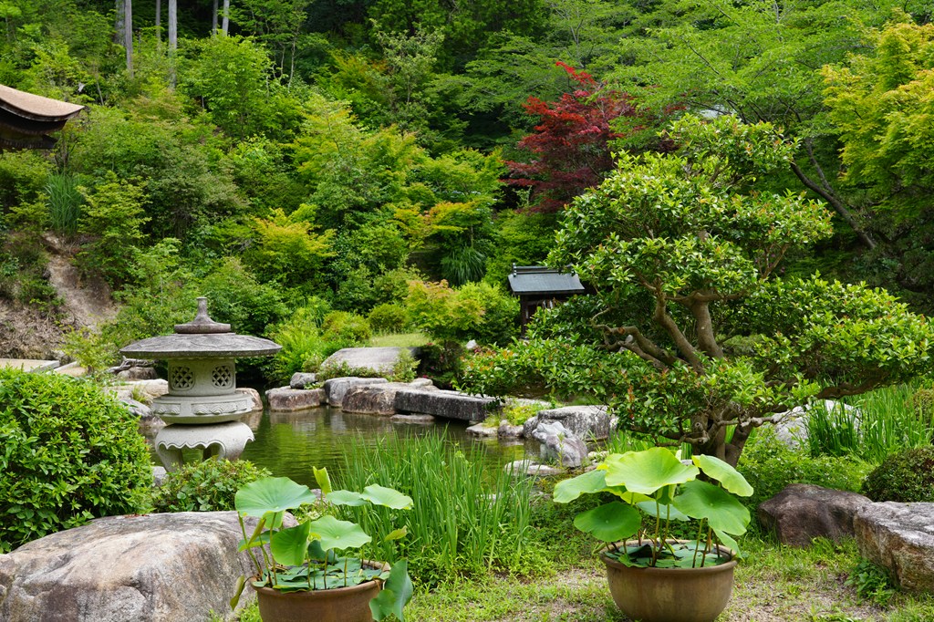 百伝池（ももつてのいけ）と善水