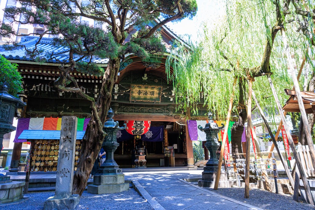 ご本尊・如意輪観音像と本堂（京都市指定文化財）