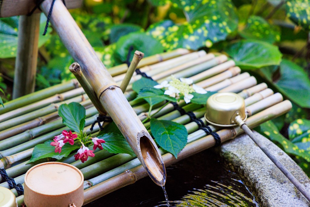 花の寺、元慶寺