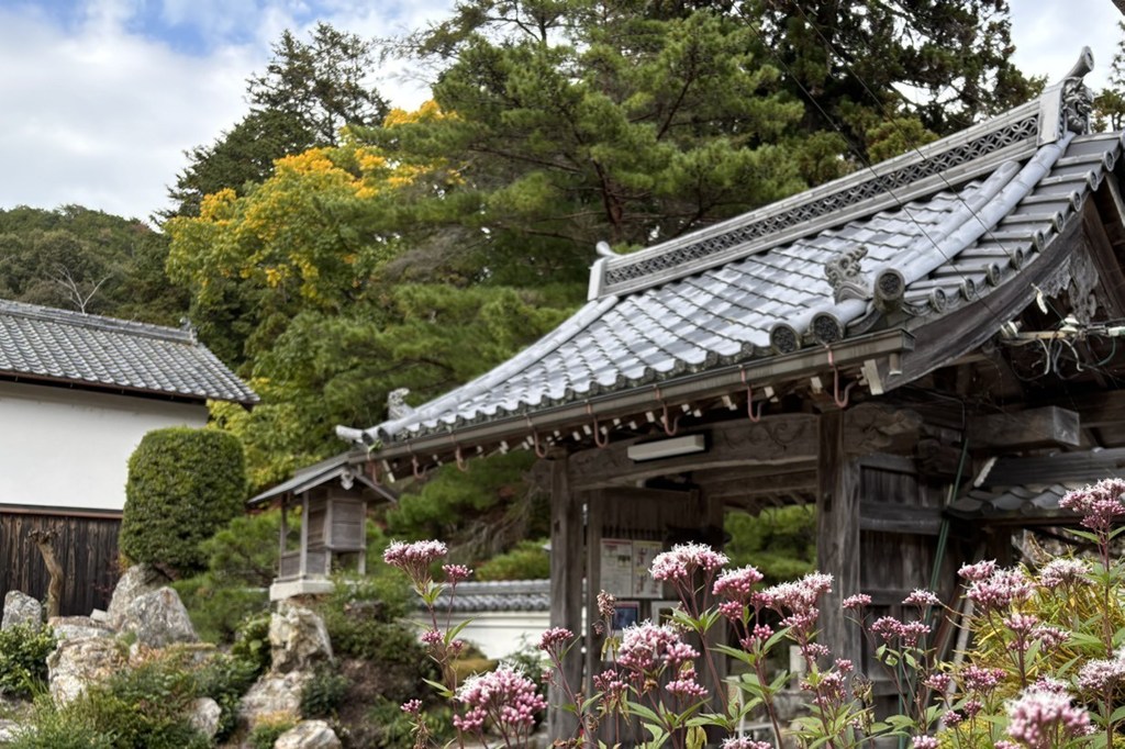 本堂・山門・陰陽の庭・枯山水庭園（本堂前）