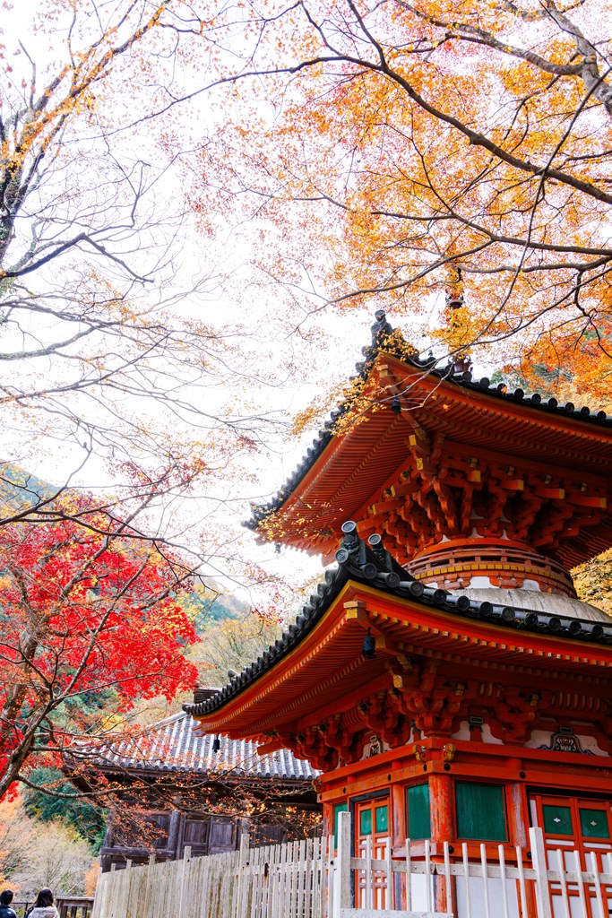 多宝塔（国指定重要文化財）