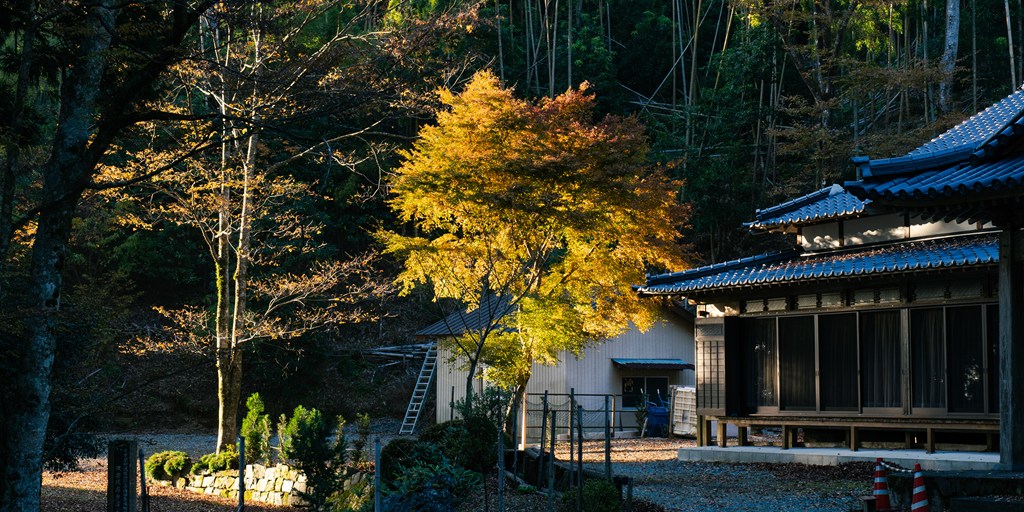 山上の景色・日本一の石段