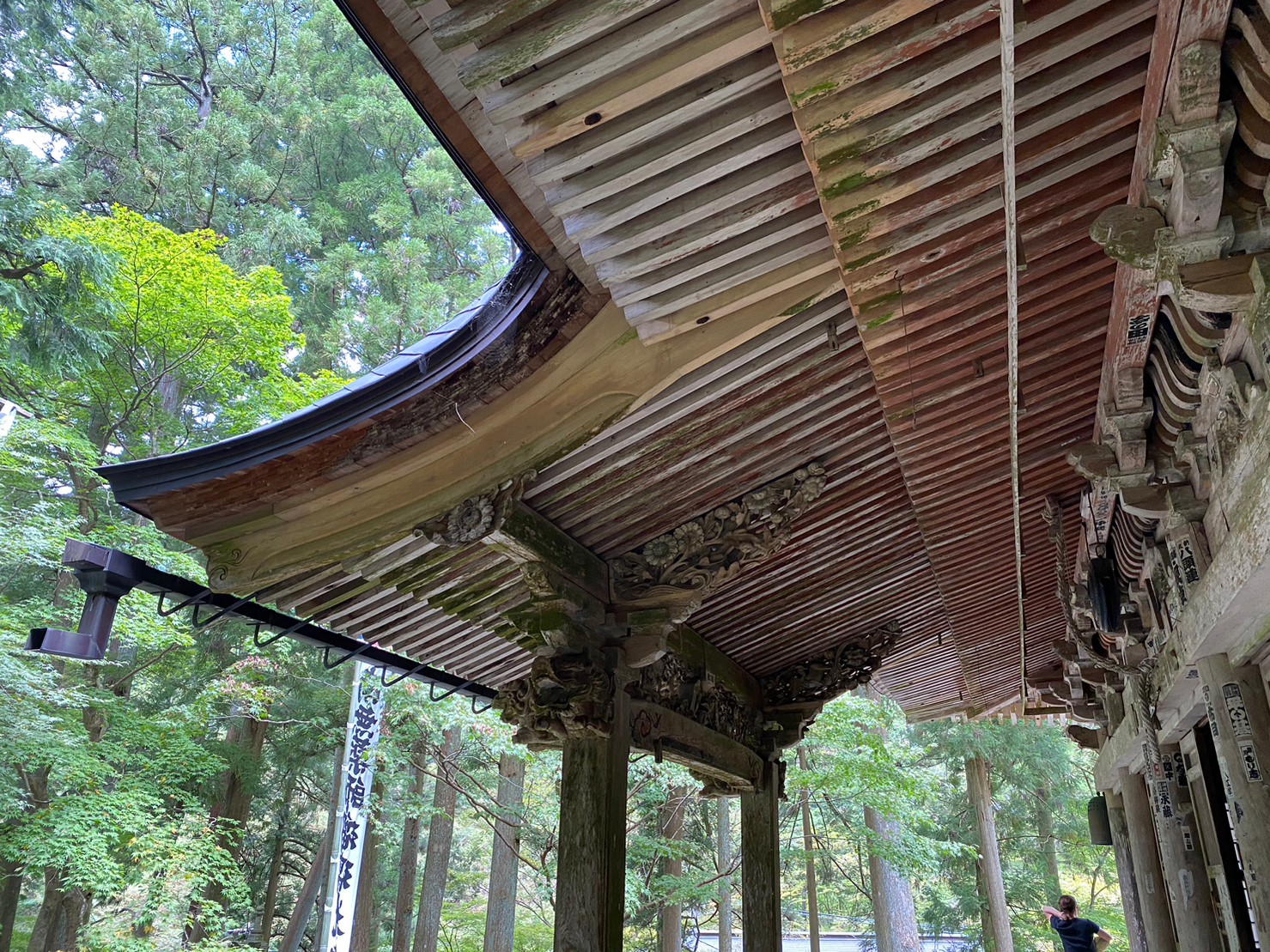 本堂・三重塔・仁王門（岐阜県指定文化財）