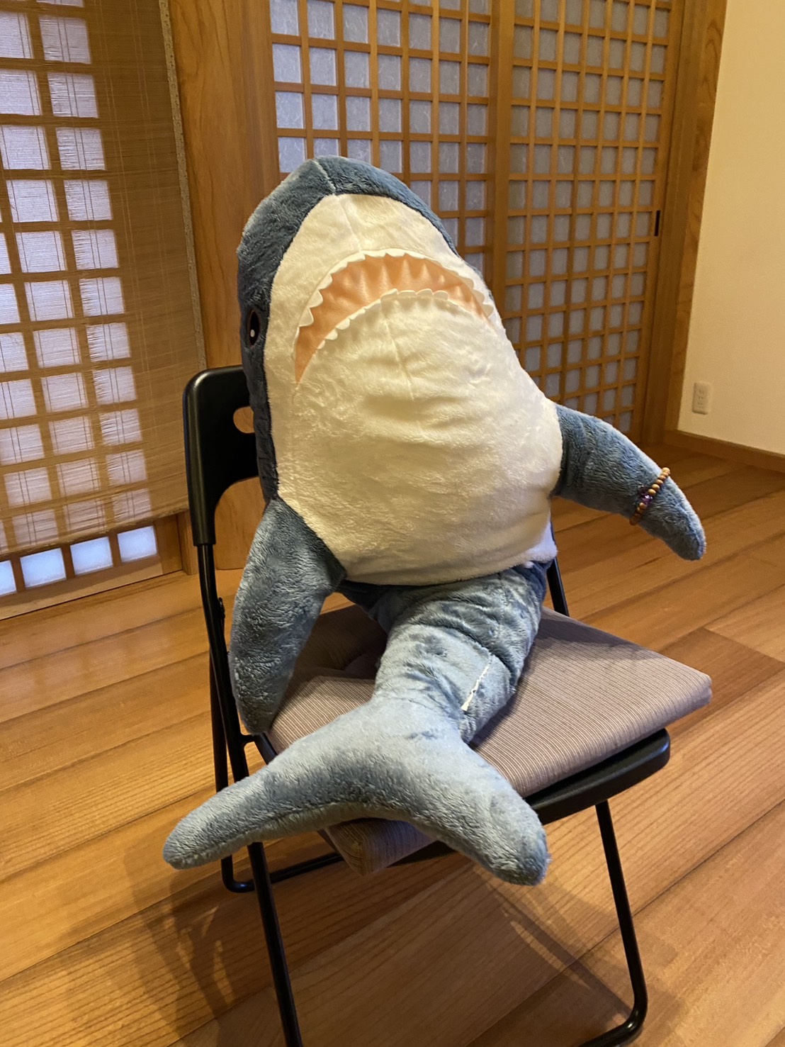 正明寺法嗣・小林恵俊師による「サメに説法」