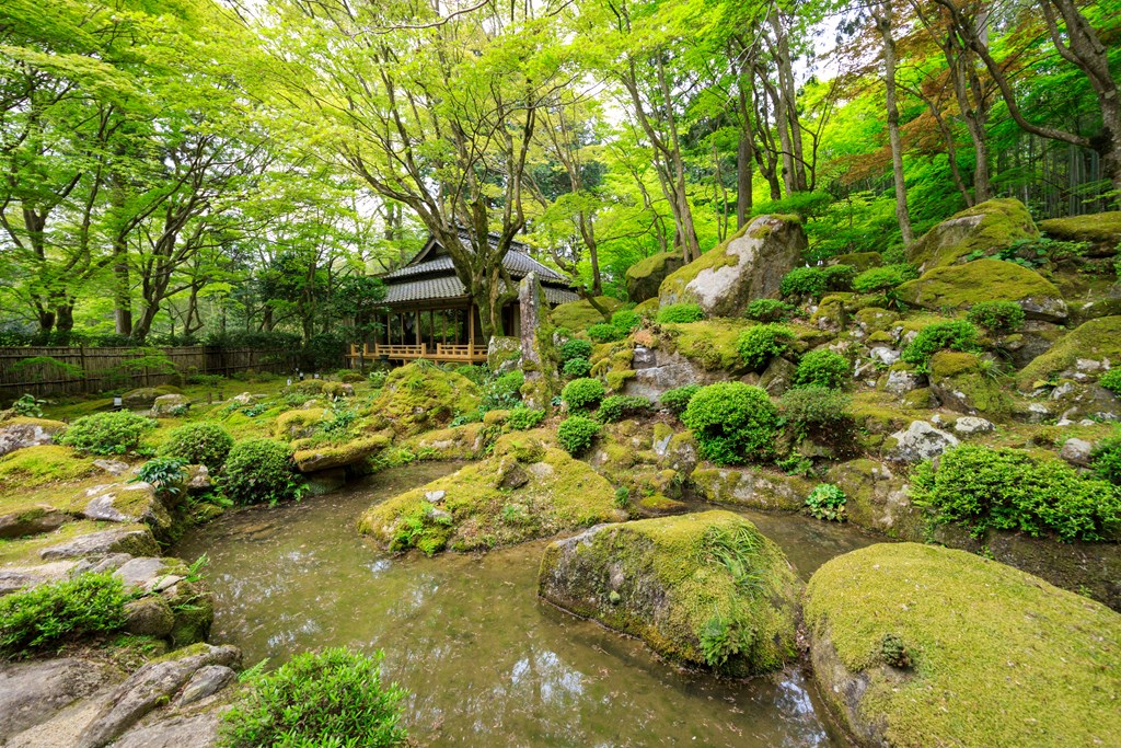 庭園（近江八幡市指定名勝）