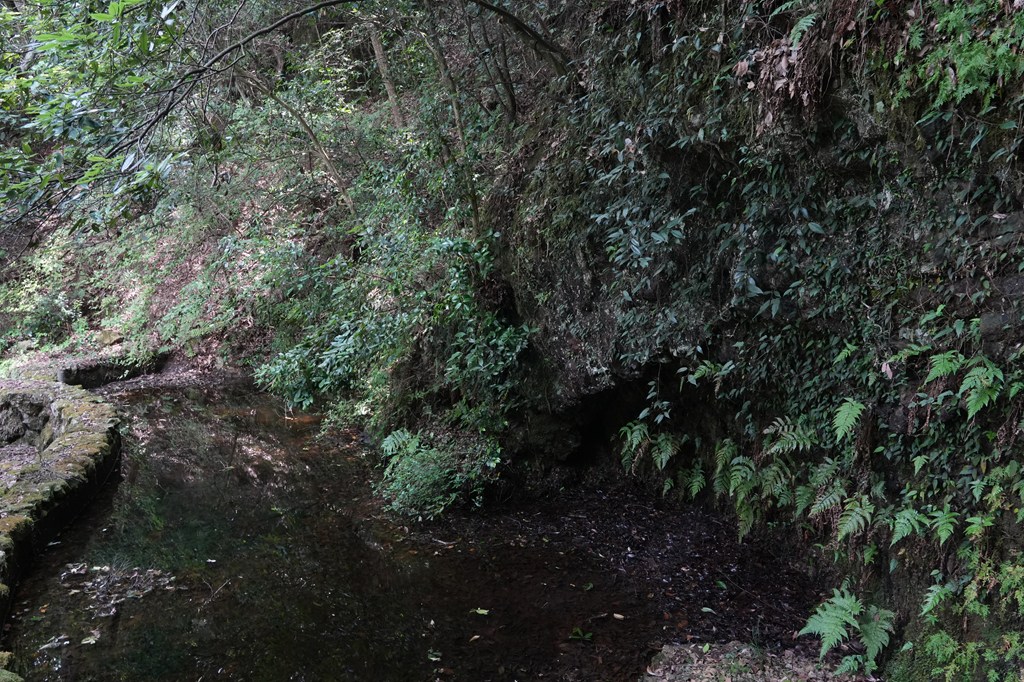 巌屋（崩落・老朽化のため、立ち入りを制限しております）